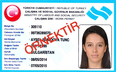 турецкая рабочая виза